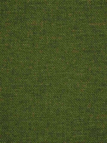 Essential Pine Sunbrella Fabric