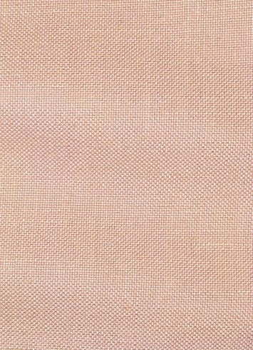 Evere Blush