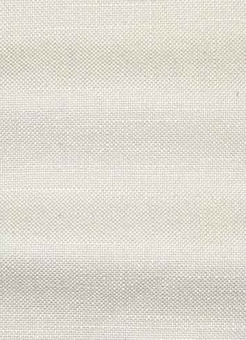 Evere Ivory