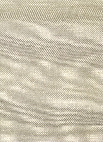 Evere Parchment
