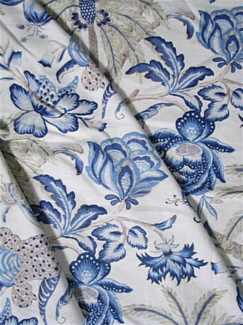 Exotic Curiosity Porcelain 681091 PK Lifestyles Print