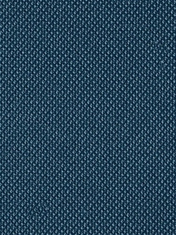 Fergus 51 Denim Covington Fabric 