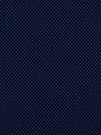 Fergus 591 Midnight Covington Fabric 