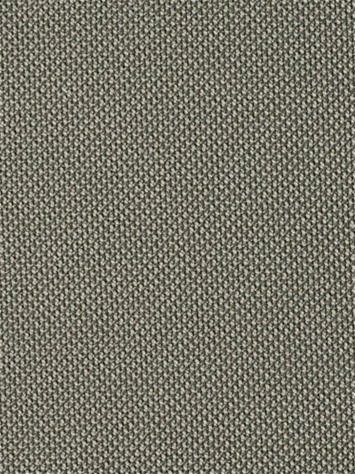 Fergus 69 Driftwood Covington Fabric 