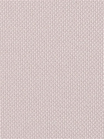Fergus 7 Blush Covington Fabric 