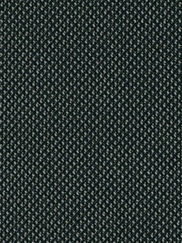 Fergus 9 Graphite Covington Fabric 
