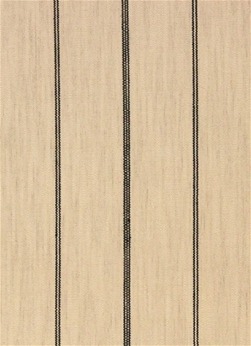Fritz Glacier Richloom Fabric