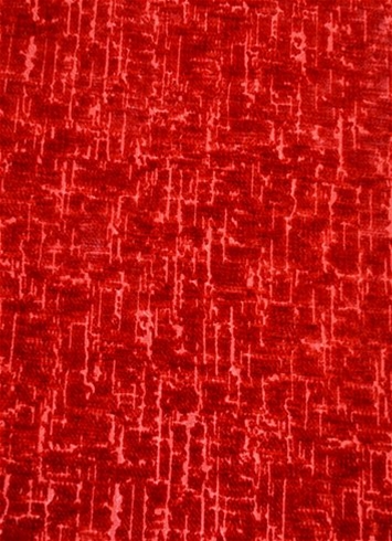 Felicity Coral Cut Velvet