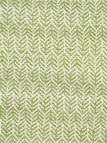 Festoon Lime Bella Dura Fabric