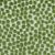 Flurries Forest Kravet Design