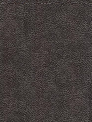Galaxy Black  Tempo Fabrics