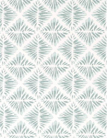 Gem Field Aloe