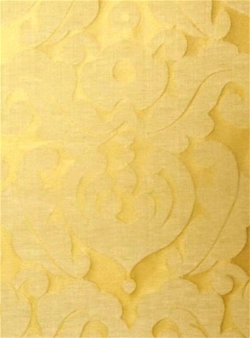 Grace Sunglow P. Kaufmann
