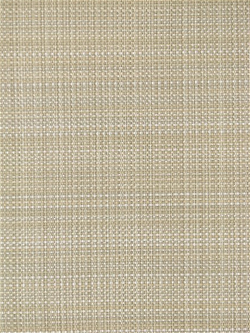 Grasscloth Ecru Bella Dura Fabric