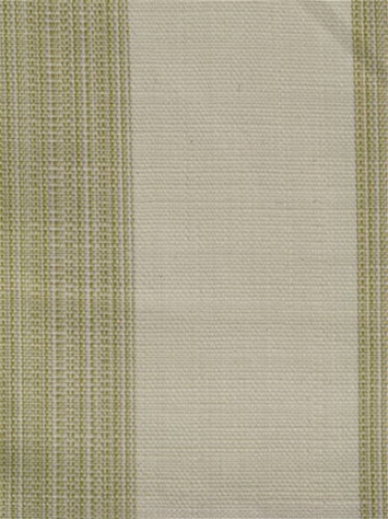 Hector Endive Richloom Fabric 