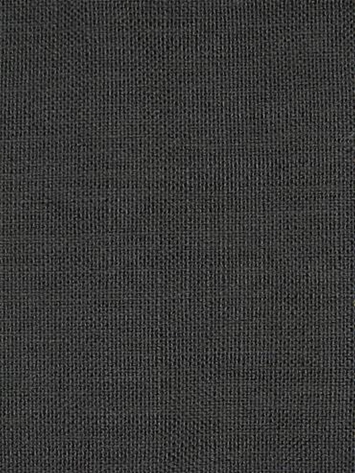 Easy Clean HP Bristol 905 Ebony