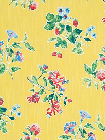 Halsey Court Daffodil