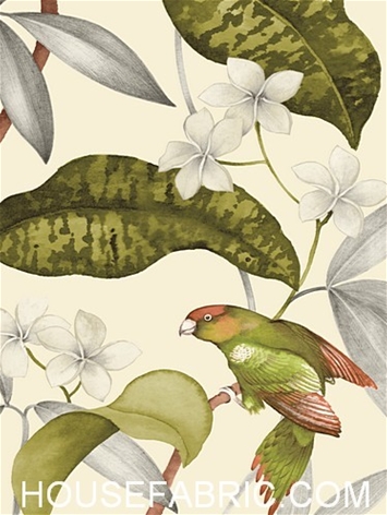 Hilary Farr Hello Polly 206 Greenery