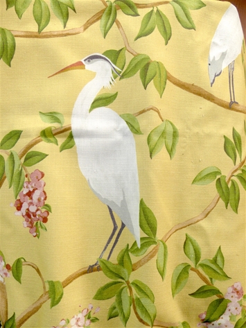 Heron 8 Daffodil