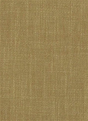 Easy Clean HP Bristol 81 Golden