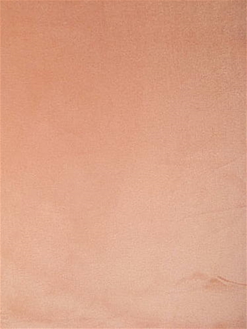 Imperial Blush P. Kaufmann Velvet