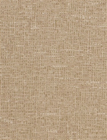 Independent 22304 Global Design
