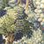 Into the Woods Forest P Kaufmann Fabric