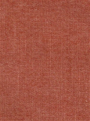 Jig Spice Regal Fabric 