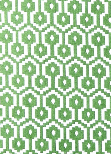 Jamboree Fern Geometric Fabric