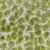 Jelly Beanz 25 Olive Covington Fabric