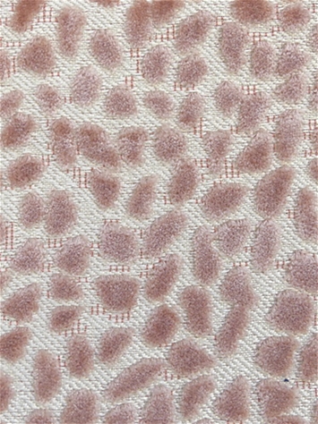 Jelly Beanz 704 Dusty Rose Covington Fabric
