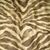 Jungle Cat Chocolate