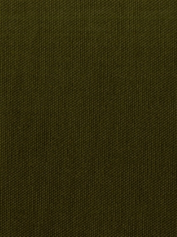KANVASTEX 22 OLIVE Canvas Fabric