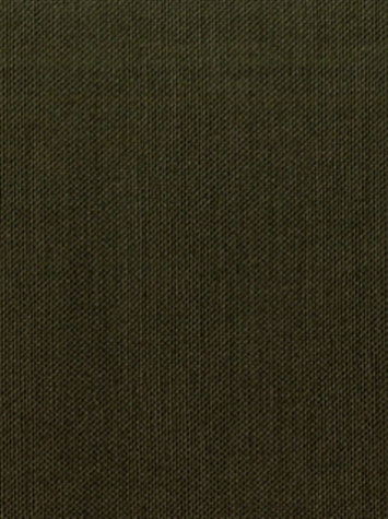 KANVASTEX 28 VERDE Canvas Fabric
