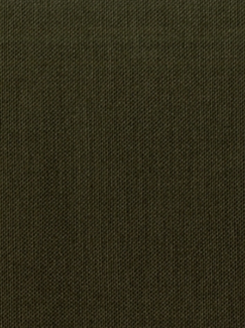 KANVASTEX 28 VERDE Canvas Fabric