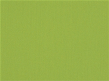 KANVASTEX 282 LIME Canvas Fabric