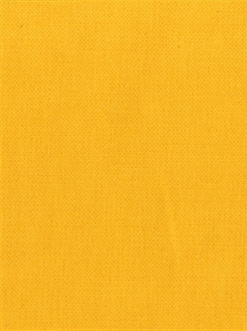 KANVASTEX 81 SUNSHINE Canvas Fabric