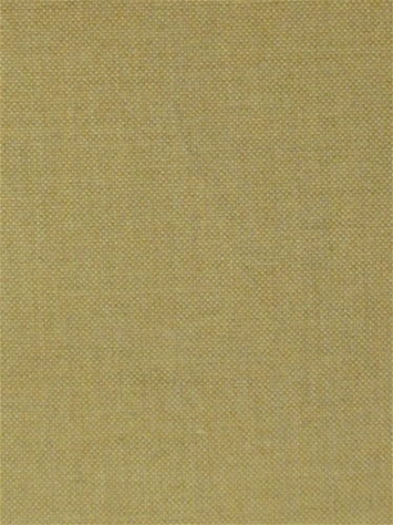 Key West Golden Barrow Fabric 