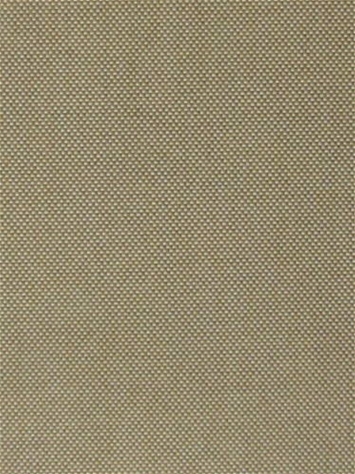 Key West Tan Barrow Fabric 