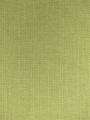 Kaye Moss Richloom Fabric