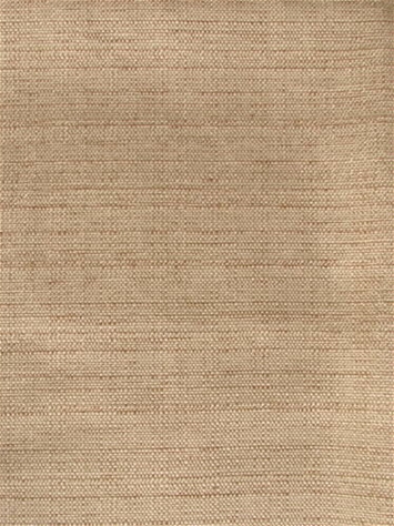Kaye Sisal Richloom Fabric