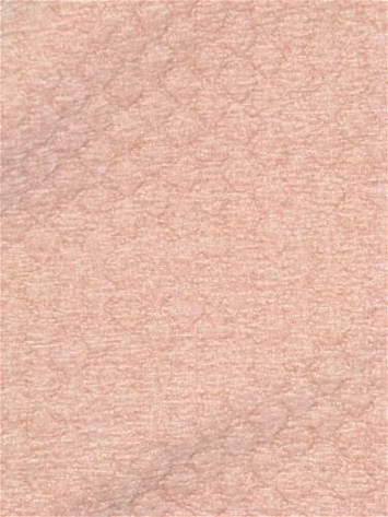 Komodo 7 Blush