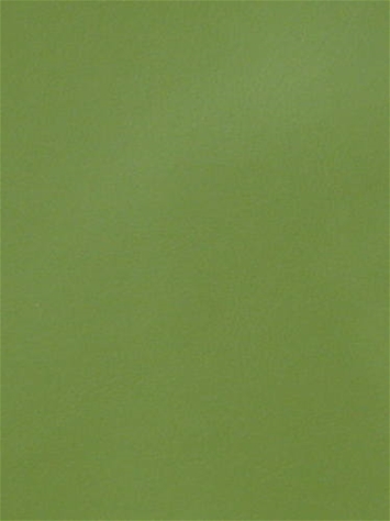 Laredo Aloe Tempo Vinyl 