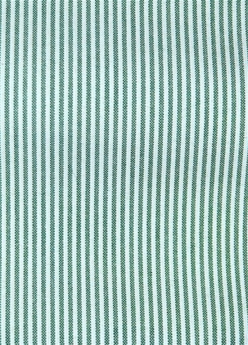 Laguna Jungle Ticking Fabric