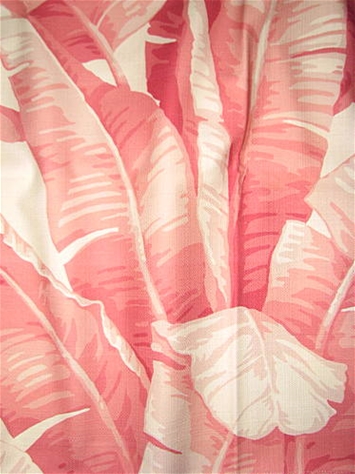 Las Olas Sunset Banana Leaf