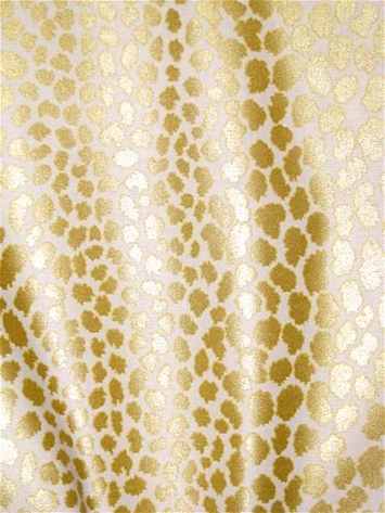 Limelight Gold - P. Kaufmann