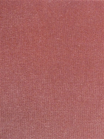 Linden Coral Velvet Regal Fabric 
