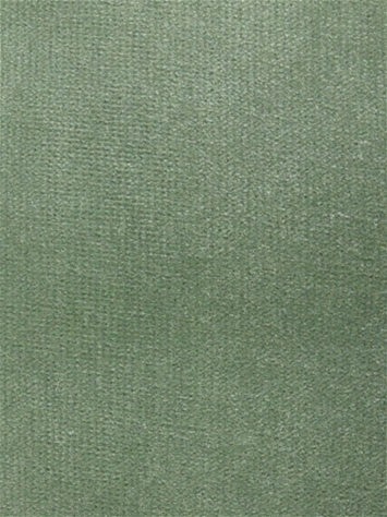 Linden Fern Velvet Regal Fabric