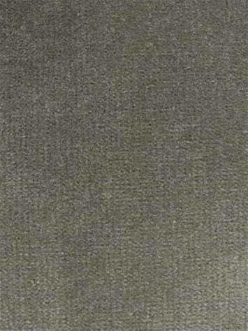 Linden Pewter Velvet Regal Fabric 