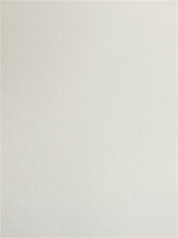 Linden Snow Velvet Regal Fabric 